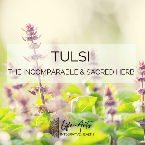 Tulsi: The Incomparable & Sacred Medicinal Herb · Annie B Kay