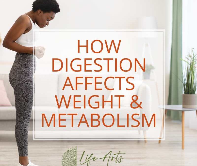 How Digestion Affects Weight & Metabolism